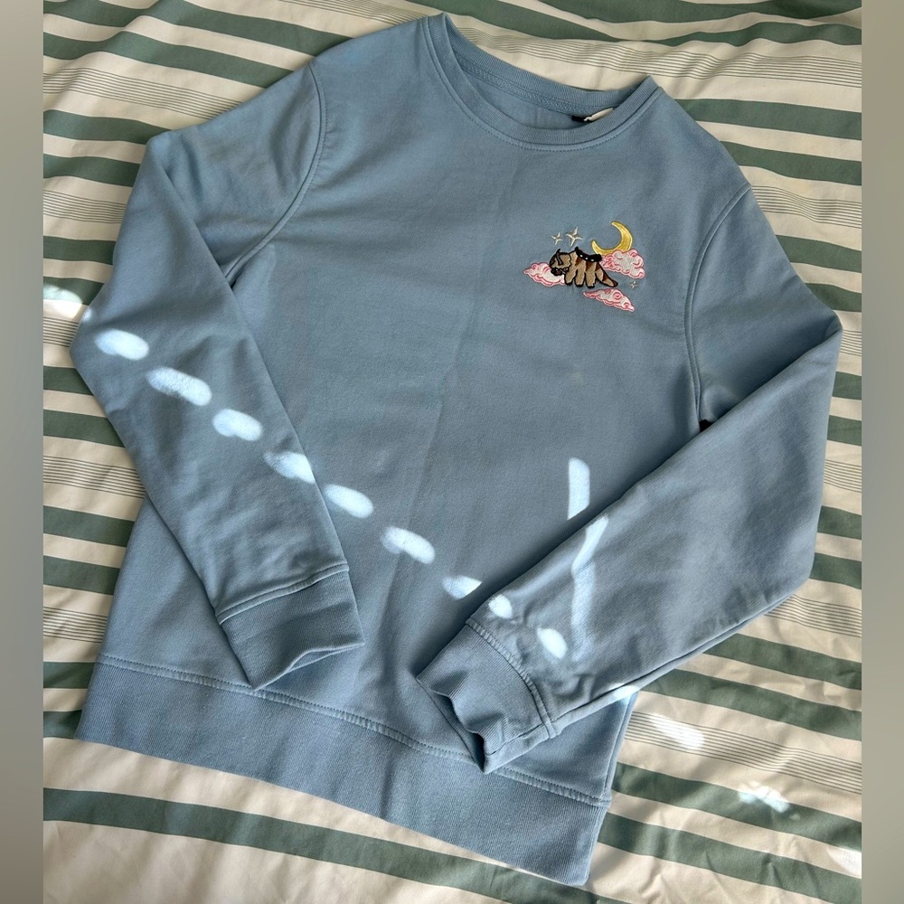 Light blue embroidered Appa sweatshirt